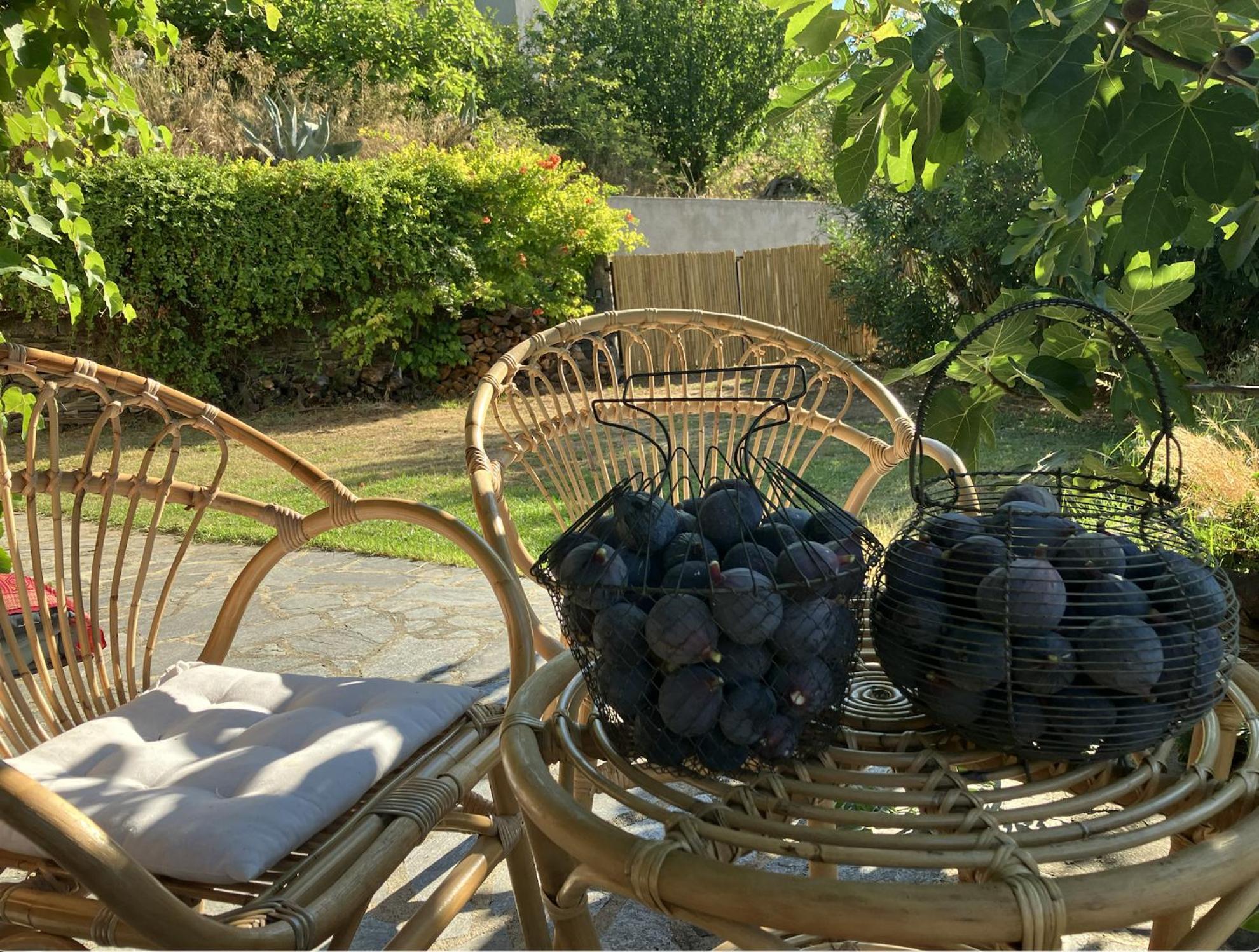 Maison De Charme Corse Sauvage Pietra-di-Verde Kültér fotó