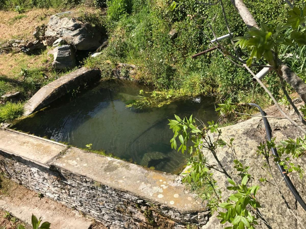 Maison De Charme Corse Sauvage Pietra-di-Verde Kültér fotó