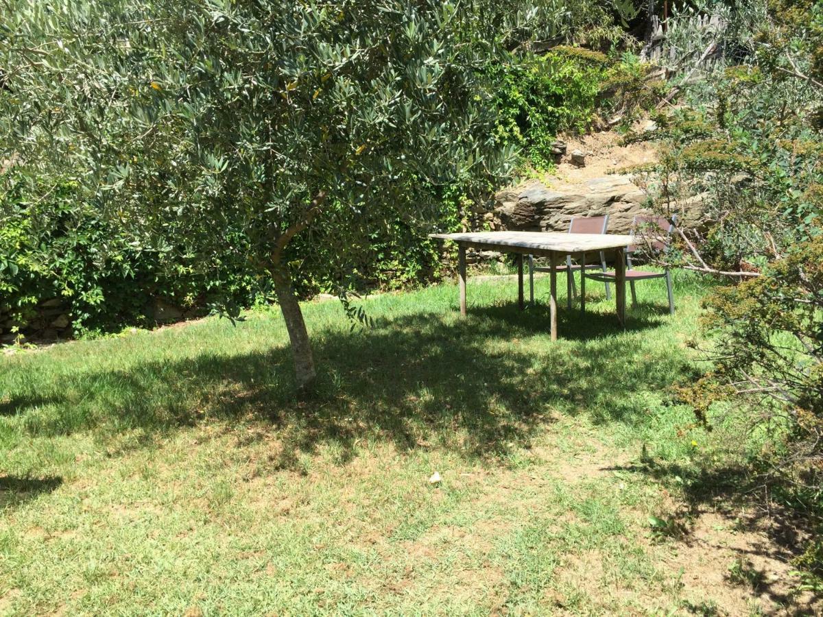 Maison De Charme Corse Sauvage Pietra-di-Verde Kültér fotó