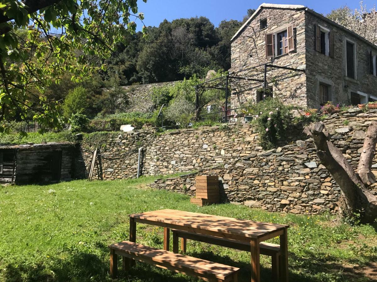 Maison De Charme Corse Sauvage Pietra-di-Verde Kültér fotó